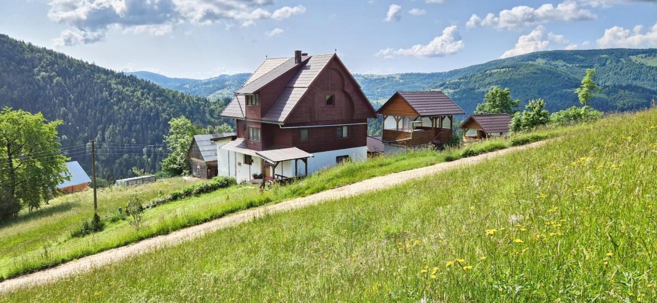 Pensiunea Amalia Ґирда-де-Сус Екстер'єр фото